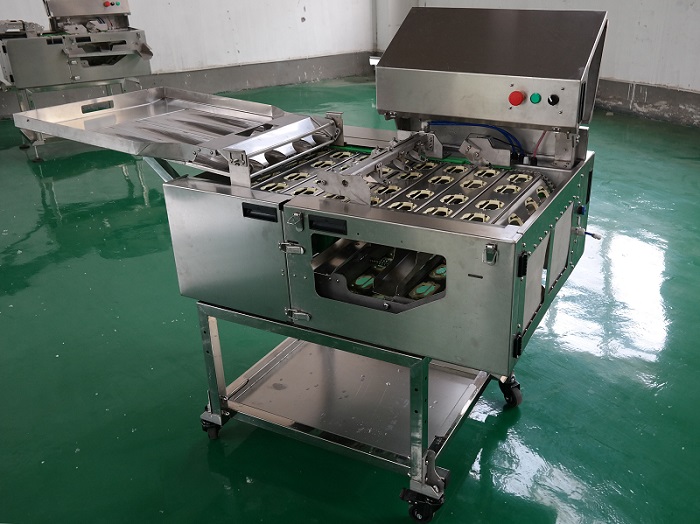 敲蛋機在食品廠的使用優(yōu)勢和注意事項