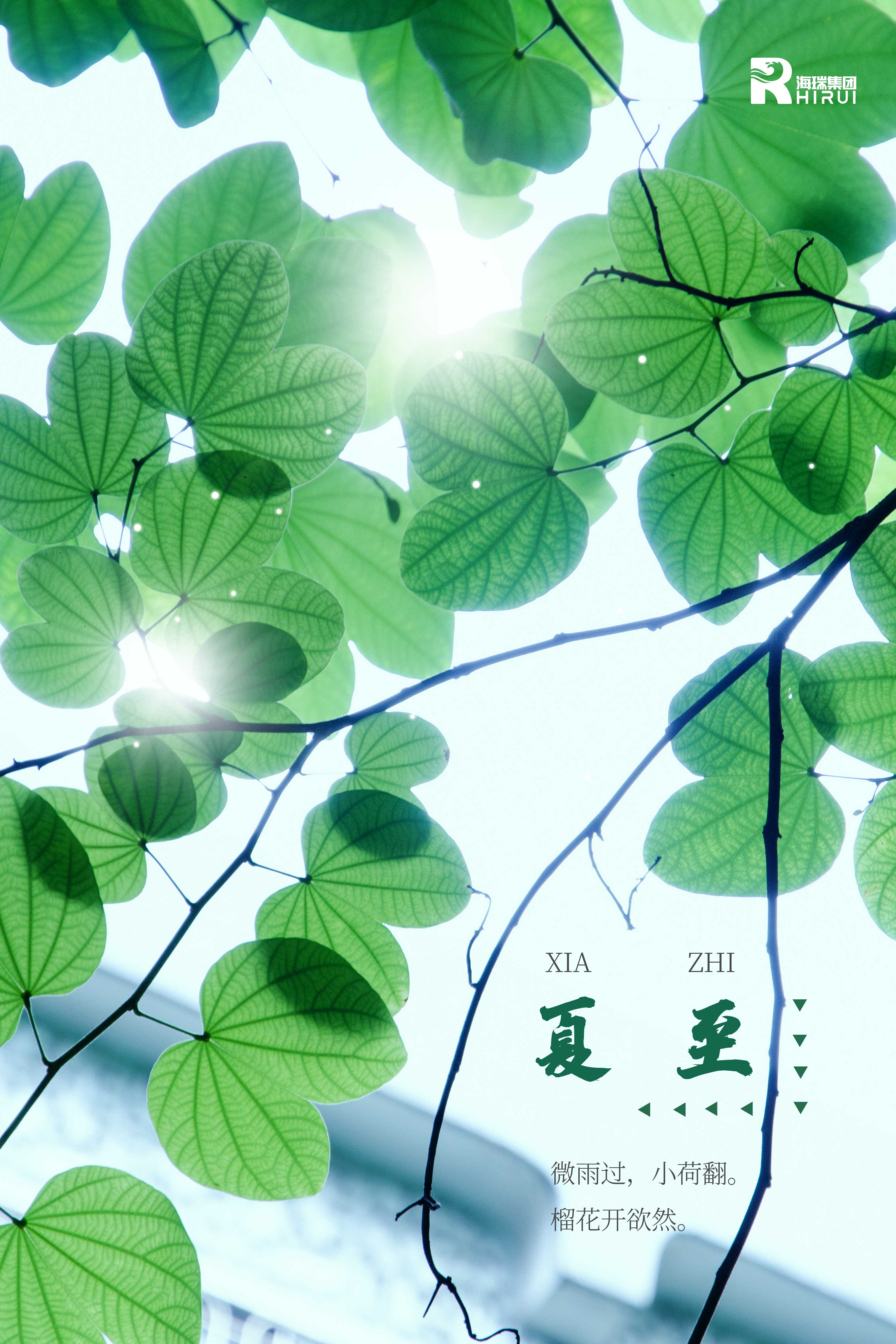 夏至已至，盛夏已至